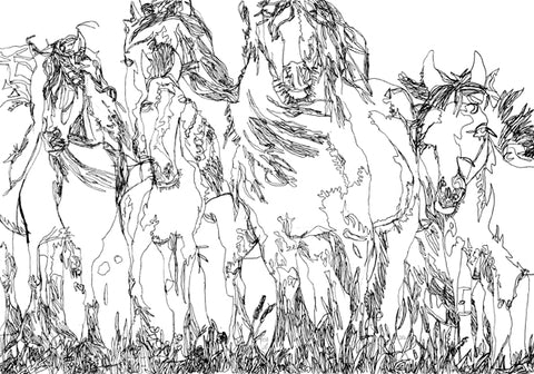 12301 Horses - Drawn in 2012 - Print on A2 Fine Art Paper (42x59.4cm/ 16.5x23.3") or A1 Fine Art Paper (59.4x84.1cm/ 23.3x 33.1”) or A0 (84.1x118.9cm/33.1x46.8”)