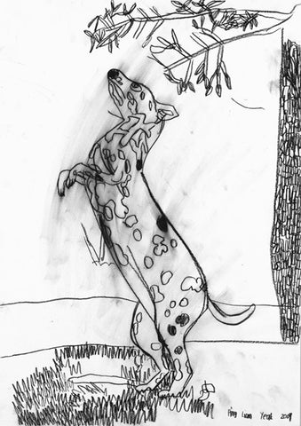 09401 Dog- Dalmatian (B/W) - Drawn at age 15 - Print on A3 size paper (29.7x42.0cm / 11.6"x 16.5") or A4 size paper (21x29.7 cm/ 21x29.7”)