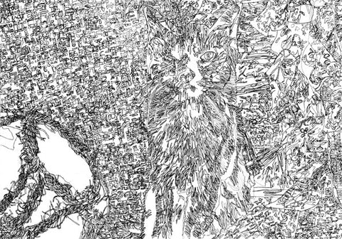 12404 Cat - Drawn in 2012- Print on A3 size paper (29.7x42.0cm / 11.6"x 16.5") or A4 size paper (21x29.7 cm/ 21x29.7”)